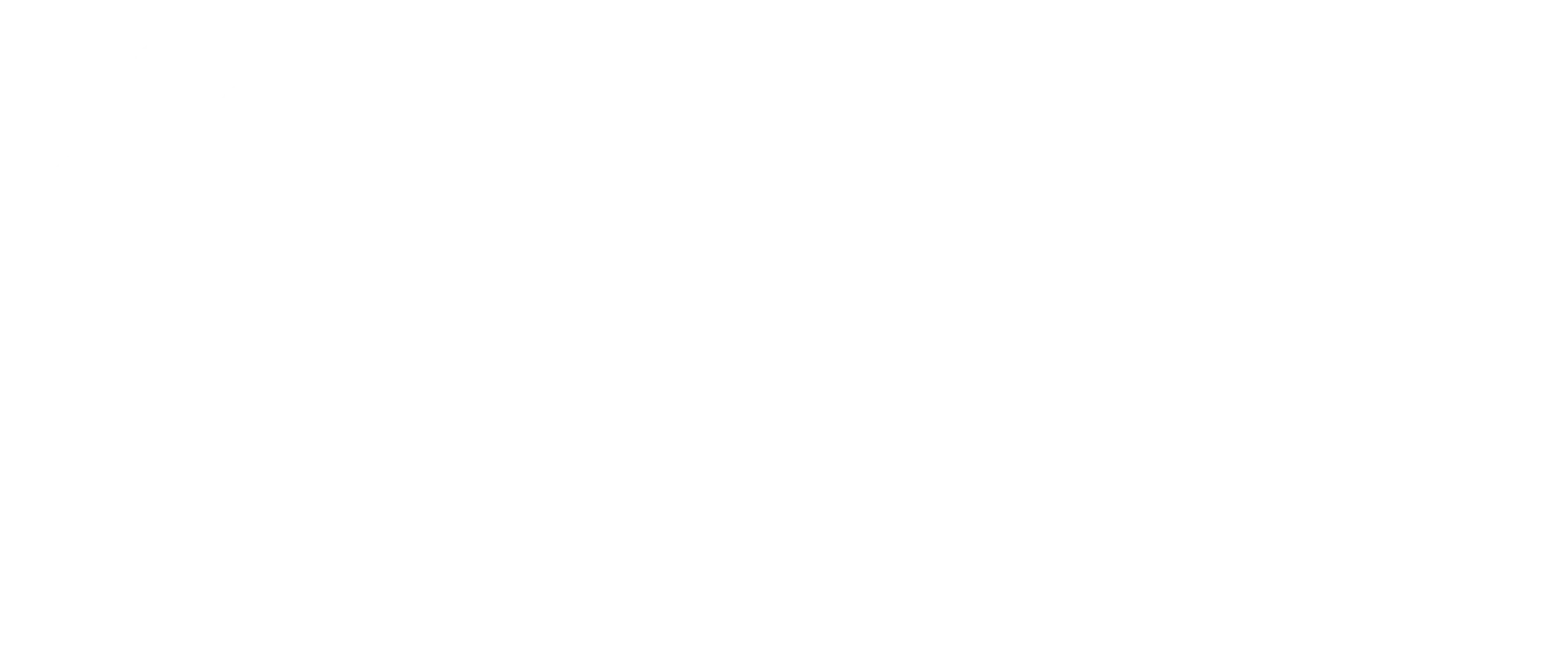 Voetpunt Planning logo